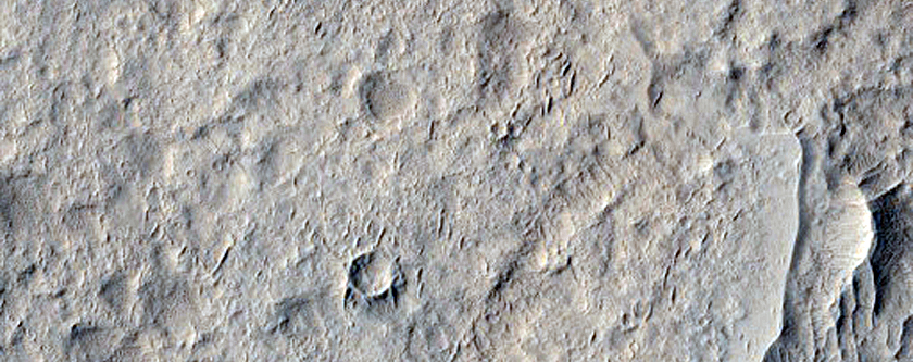 Wrinkle Ridges and Knobs in Schiaparelli Crater
