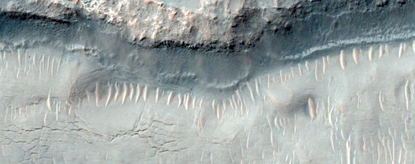 Inverted and Altered Light-Toned Terrain in Sirenum Fossae
