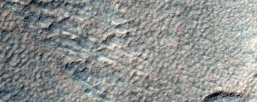 Scalloped Terrain in Southern Mid-Latitudes
