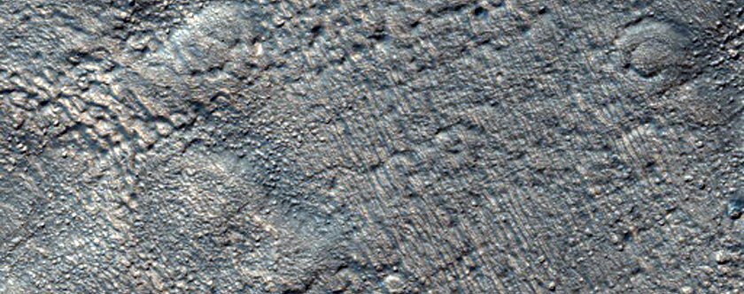 Gully Monitoring in Negele Crater