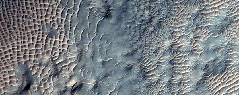 Gullies in Crater Near Newton Crater
