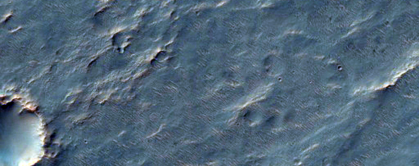 Wind Streaks from Hale Crater
