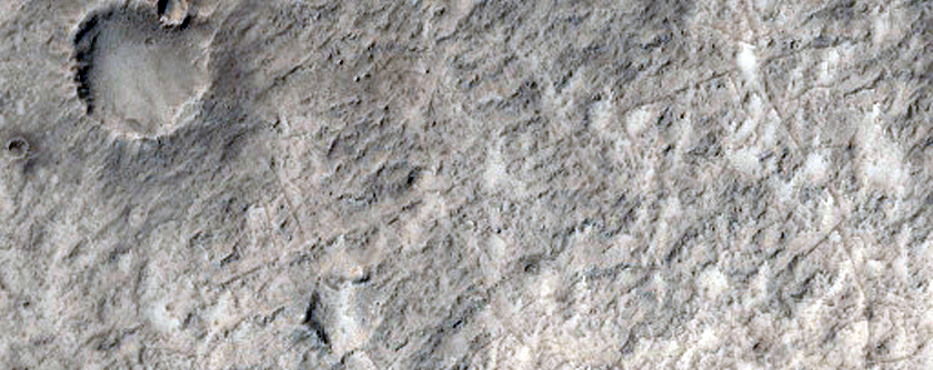 Crater Floor with Reticulate Ridge or Fracture Pattern
