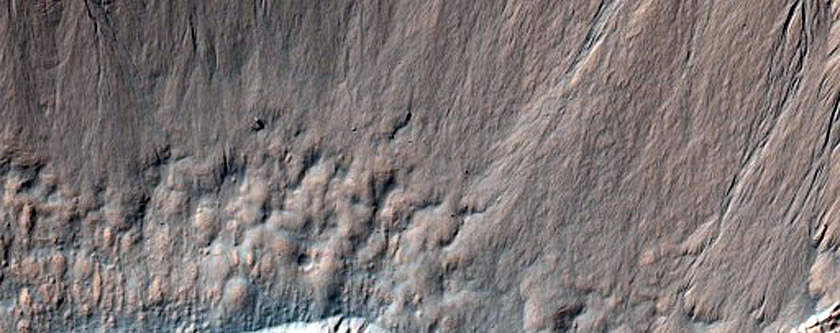 Gullies and Flow in Small Crater North of Newton Crater
