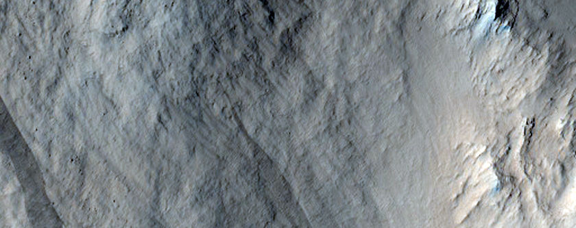 Apexes of Fan Pair in Amazonis Planitia Crater
