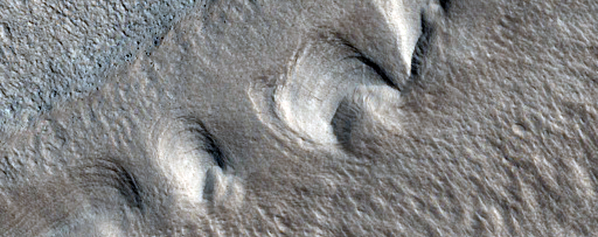 Raised Features with Circular Fronts in Tantalus Fossae

