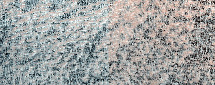 Polygons in Northern Plains Crater

