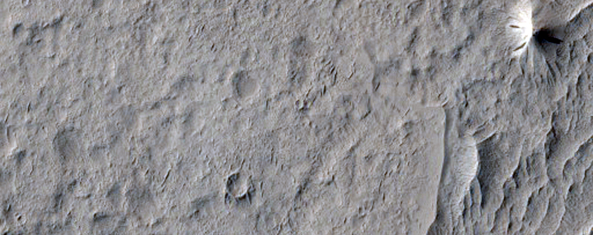 Wrinkle Ridges and Knobs in Schiaparelli Crater
