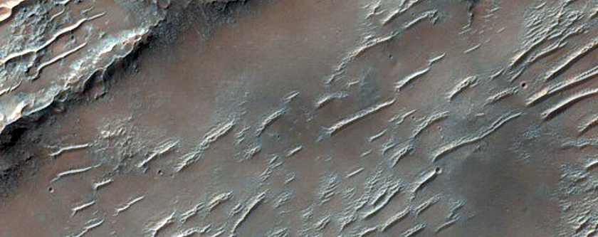 Potential Mud Volcanism within Huygens Crater
