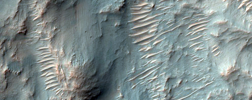 Estratigrafía bien expuesta en una pared de un cráter