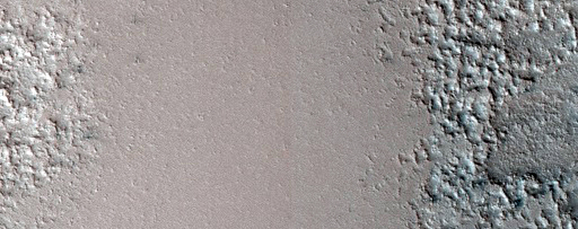 Aranei instar conformatio in cratere