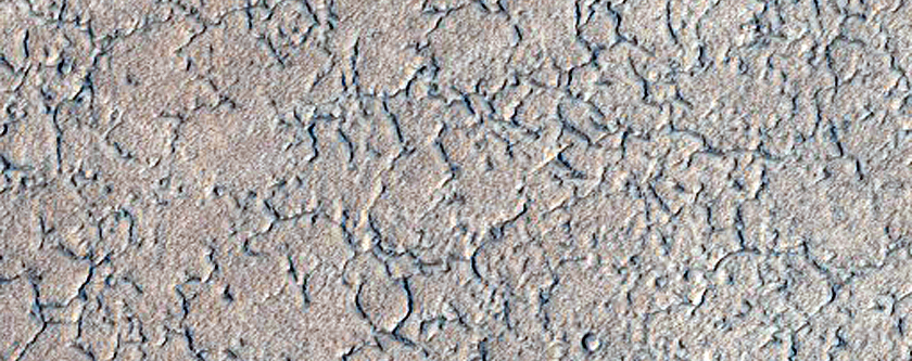קונוסים על המישור אמזוניס פלניטיה (Amazonis Planitia)