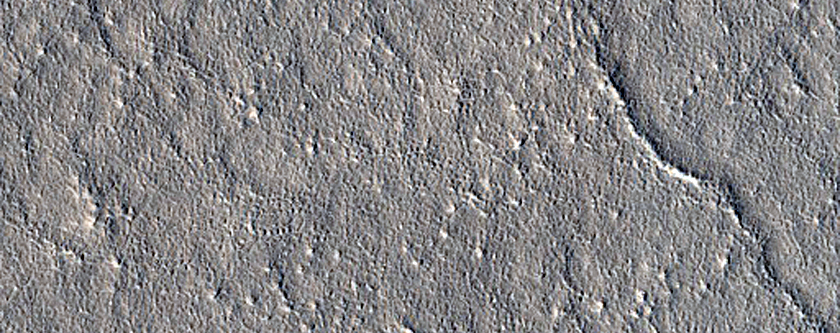 Candidate Red Dragon Landing Site in Arcadia Planitia
