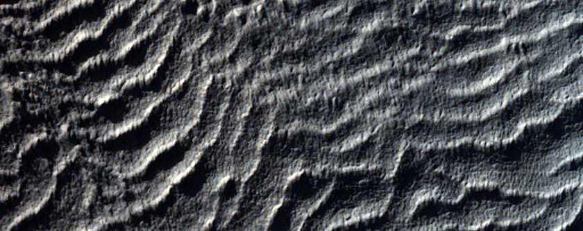 Tongue-Shaped Viscous Flow Feature in Crater in Eridania Planitia
