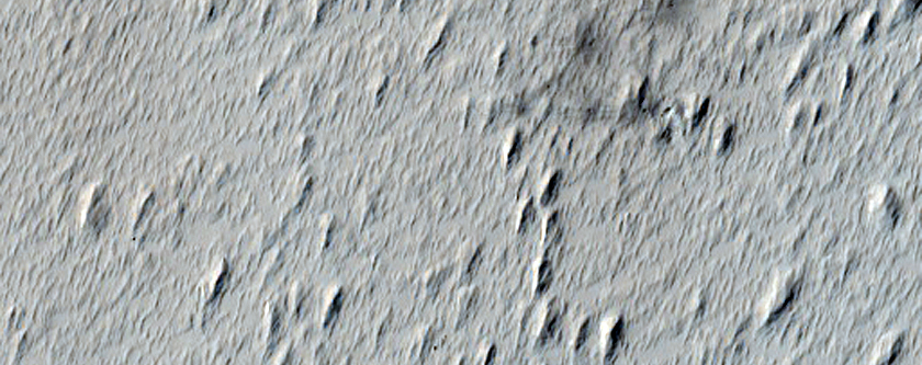 Monitoring New Impact Site
