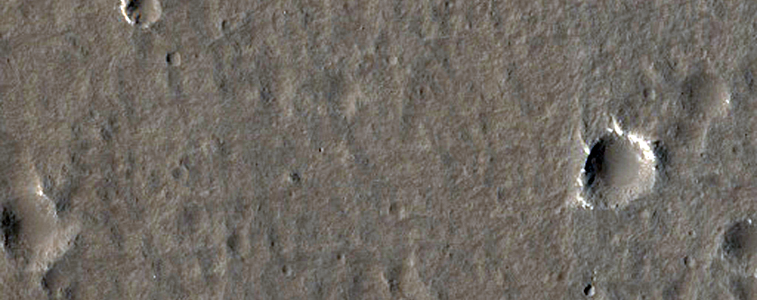 Landforms in Utopia Planitia
