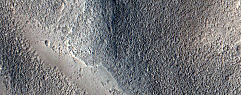 Contact in Utopia Planitia
