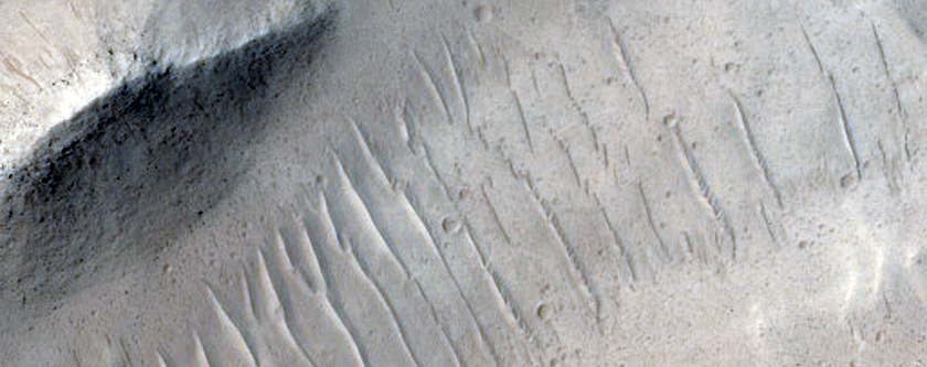 Intersecting Perpendicular Drains or Faults
