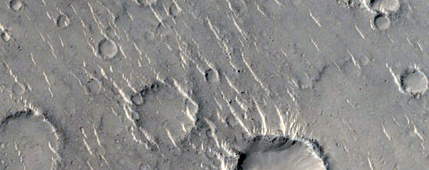 Isidis Planitia

