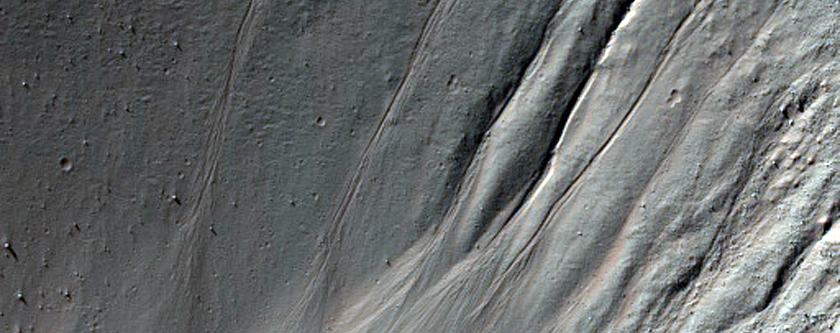 Gullies in Crater in THEMIS Image V26305006
