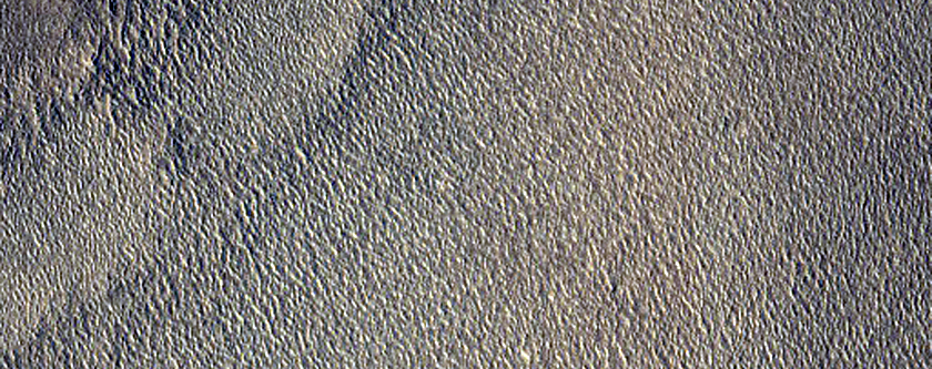 Northern Plains Contact
