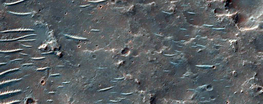 Phyllosilicate Deposit within Intercrater Plains South of Isidis Planitia
