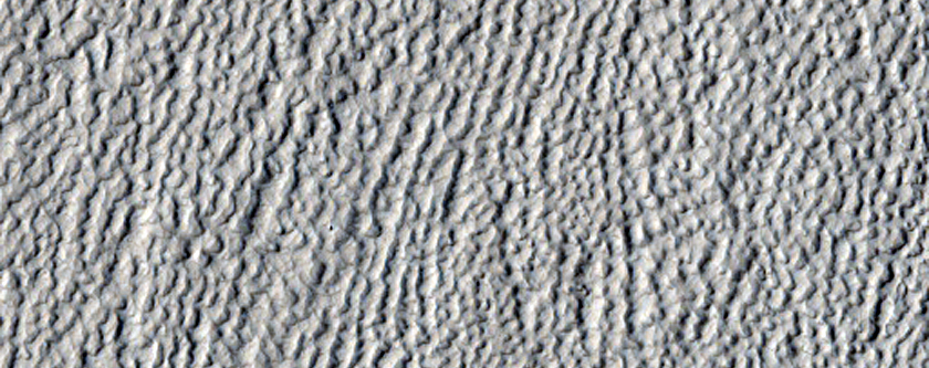 Brain Terrain North of Cerulli Crater
