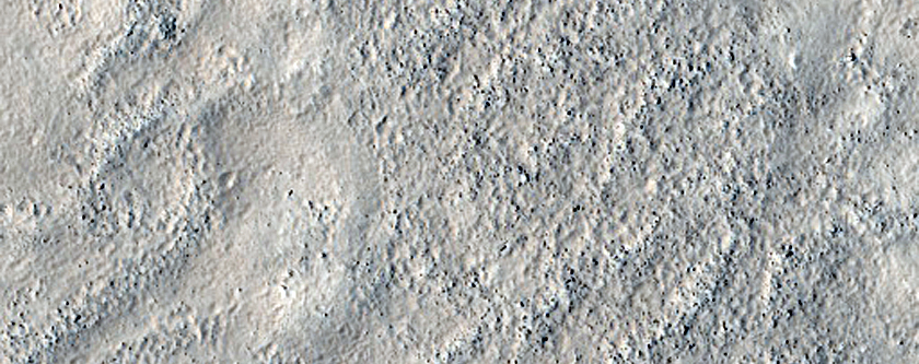 Contact in Utopia Planitia
