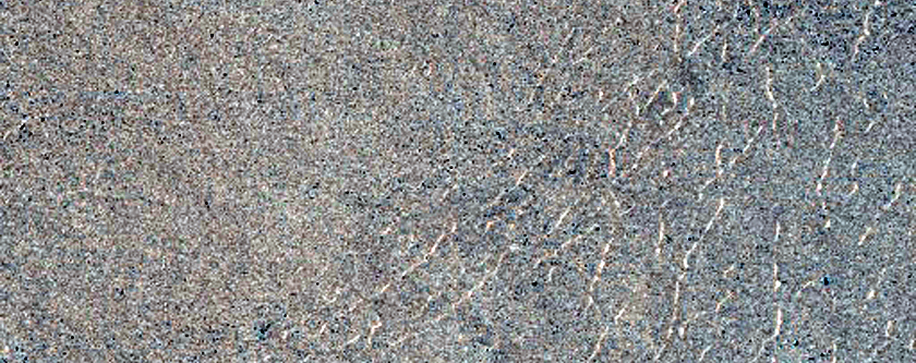 Crater Rim in Tantalus Fossae
