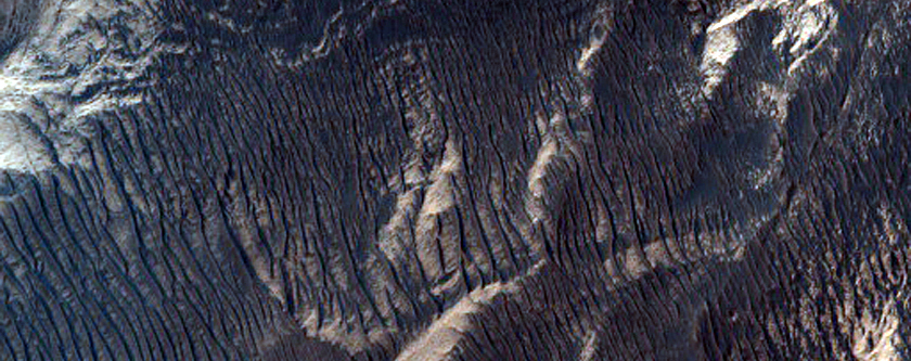 Light-Toned Layered Deposits along Northeast Melas Chasma Wallrock
