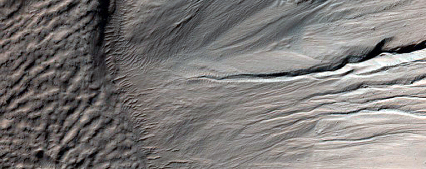Monitor Frost in Corozal Crater
