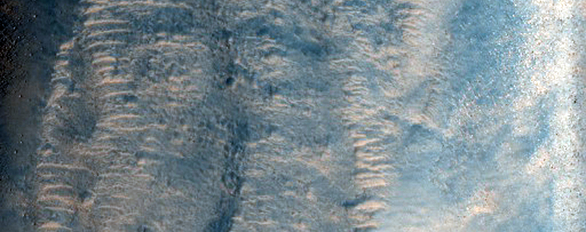 Giant Polygons in Acidalia Planitia

