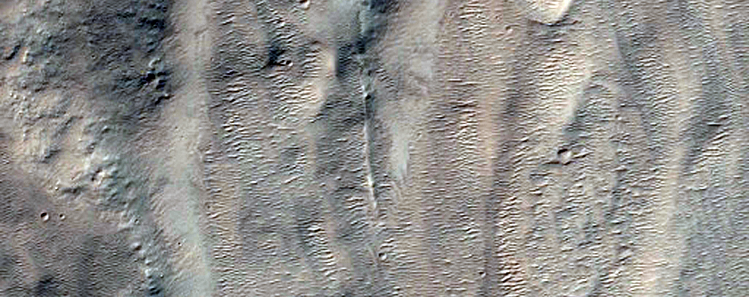 Holden Crater Apron Region of Fan
