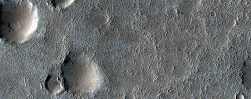 Curved Channel in Mareotis Fossae Region

