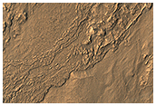 Flow on the Rim of Tooting Crater