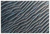 Dune Ripples in Her Desher Vallis