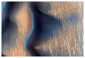 USGS Dune Database Entry Number 0688-479
