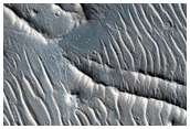 Linear Ridges in Tempe Terra
