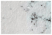 Spiders on Ejecta Blanket
