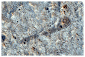 Layered Bedrock in Meridiani Planum
