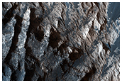 Gullied Sulfate-Rich Layers in Melas Chasma
