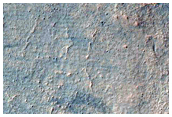 Gullies in Crater in Terra Sirenum
