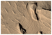 Deposits on the Floor of a Crater in Terra Sabaea