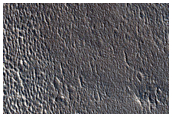 Northern Plains
