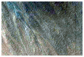 Gullied Crater Wall
