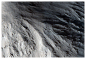 Lycus Sulci
