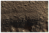 Ridges on Alba Mons
