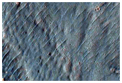 Gullied Crater
