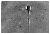 A Dragonfly-Shaped Crater
