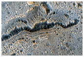 Branched Trough and Pit Features Associated with a  Curvilinear Ridge